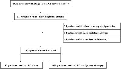 Radical surgery for stage IB2/IIA2 cervical cancer: A large retrospective study